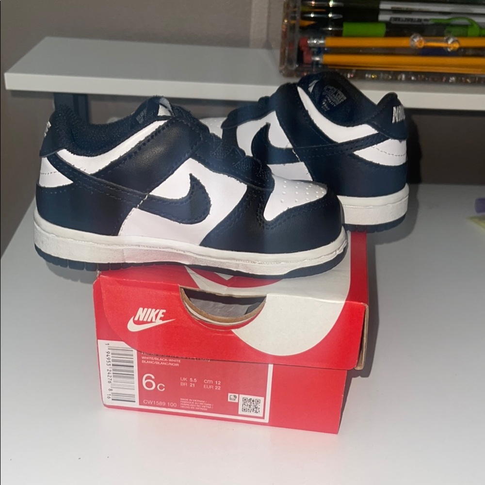 Nike Black and White Dunks Classic Design
